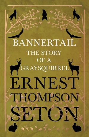 Cover of the book Bannertail - The Story of a Gray Squirrel by Alexander Woollcott