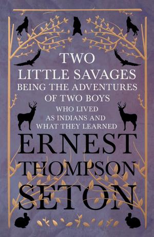 Book cover of Two Little Savages - Being the Adventures of Two Boys who Lived as Indians and What They Learned
