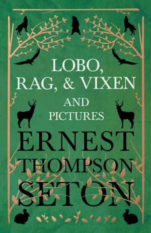 Book cover of Lobo, Rag, and Vixen and Pictures