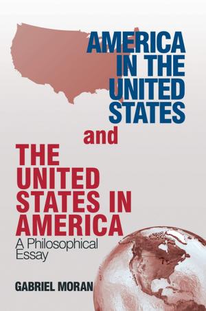 Book cover of America in the United States and the United States in America