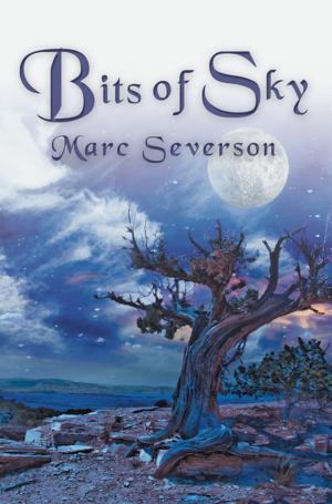 Cover of the book Bits of Sky by Richard Lapointe