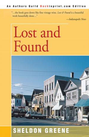 Cover of the book Lost and Found by Lou Morissette