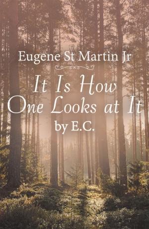 Cover of the book It Is How One Looks at It by E. C. by Walter Riso