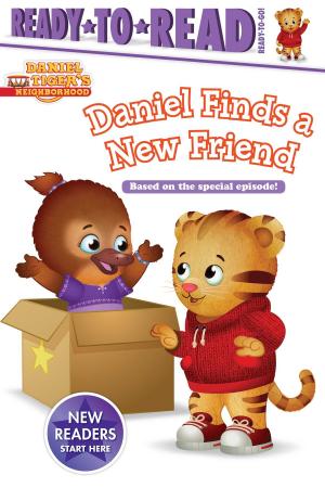 Book cover of Daniel Finds a New Friend