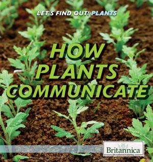 Cover of the book How Plants Communicate by John P Rafferty