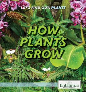 Cover of the book How Plants Grow by Michael Anderson