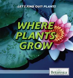 Cover of the book Where Plants Grow by Sherman Hollar