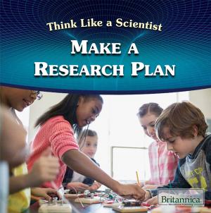 Cover of the book Make a Research Plan by Adam Furgang