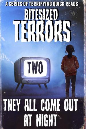 Cover of the book Bitesized Terrors 2: They All Come Out At Night by V.K. Scott
