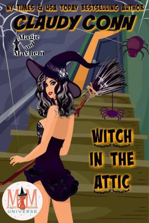 Cover of Witch in the Attic: Magic and Mayhem Universe