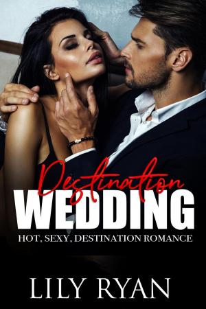 Book cover of Destination Wedding