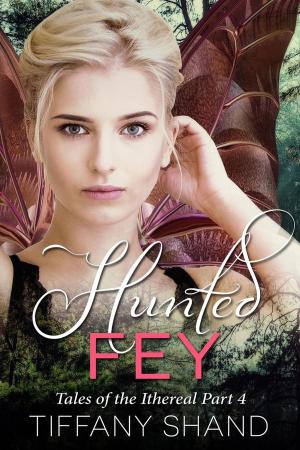 bigCover of the book Hunted Fey by 