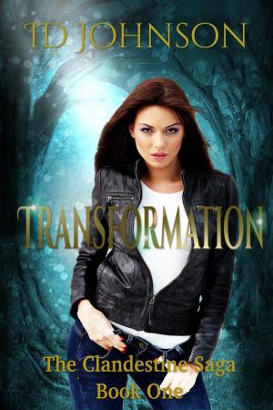 Cover of the book Transformation by Craig Hansen