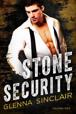 bigCover of the book Stone Security by 