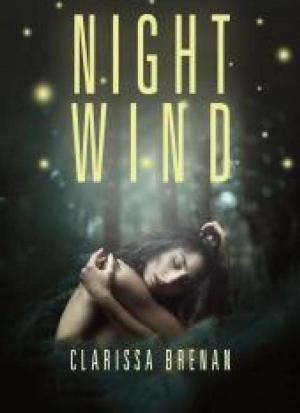 Cover of the book Night Wind by Courtney Mcphail