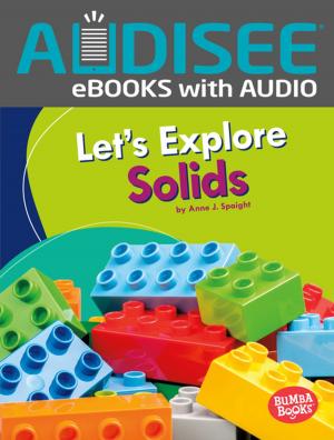 Cover of the book Let's Explore Solids by Karen Latchana Kenney
