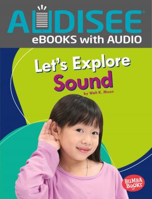 Cover of the book Let's Explore Sound by Raelyn Drake