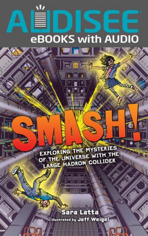 Cover of the book Smash! by Anna Levine