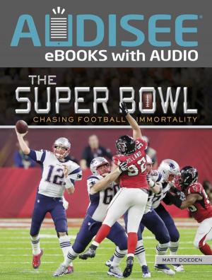 Book cover of The Super Bowl