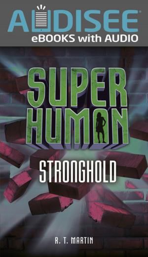 Cover of the book Stronghold by Pamela Mayer
