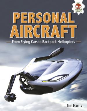 Cover of the book Personal Aircraft by Elle Parkes