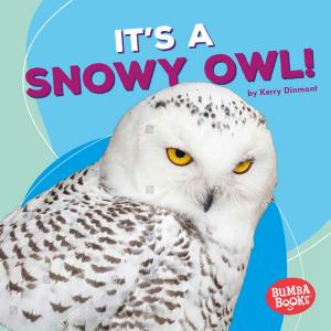 Cover of the book It's a Snowy Owl! by Elle Parkes