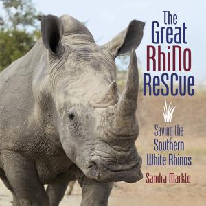 Book cover of The Great Rhino Rescue