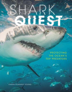Cover of the book Shark Quest by Jennifer Boothroyd