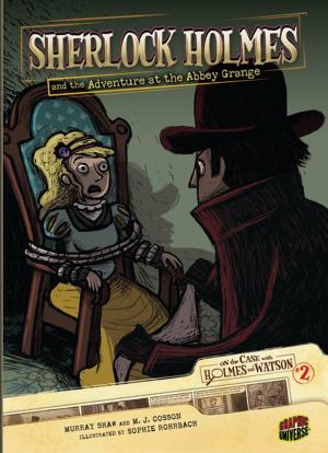 Book cover of Sherlock Holmes and the Adventure at the Abbey Grange