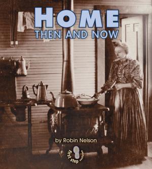 Cover of the book Home Then and Now by Jeroen W.P. Wijnendaele