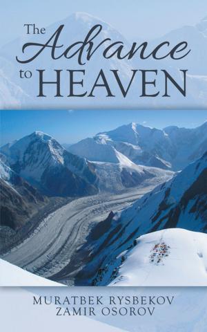 Book cover of The Advance to Heaven
