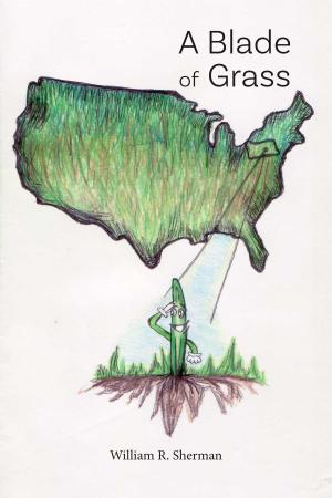Cover of the book A Blade of Grass by Charles F. Glassman, MD