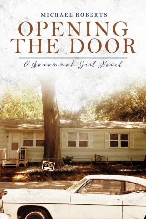 Cover of the book Opening the Door by Julie Bernier