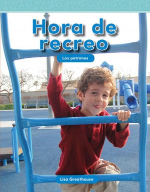 Book cover of Hora de recreo: Los patrones