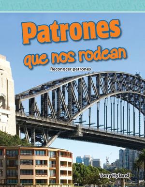 Book cover of Patrones que nos rodean: Reconocer patrones