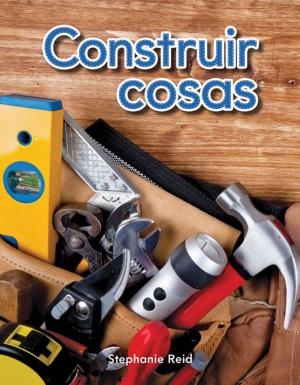 Book cover of Construir cosas