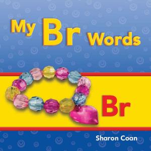 Cover of the book My Br Words by Heather E. Schwartz