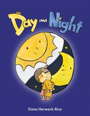 Cover of the book Day and Night by William B. Rice