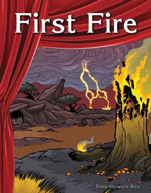 Book cover of First Fire