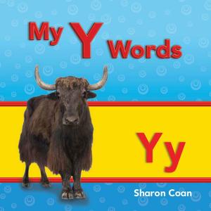 Cover of the book My Y Words by Monika Davies