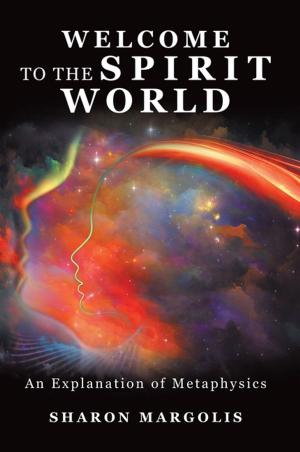 Cover of the book Welcome to the Spirit World by Juan M. Osorio