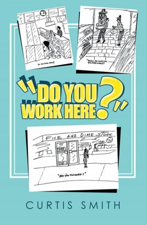 Cover of the book “Do You Work Here?” by Shpend Sollaku Noé