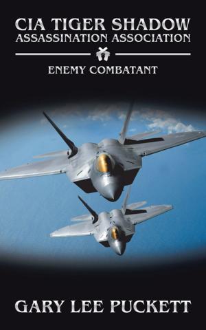 Cover of the book Enemy Combatant by Joseph M. Cammarata