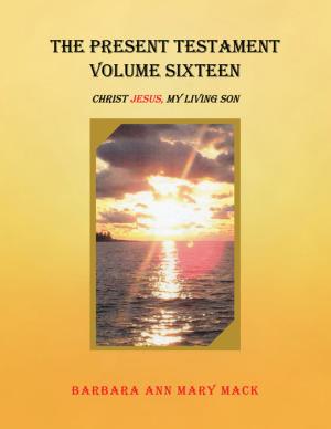 Cover of the book The Present Testament Volume Sixteen by Alpha de Monté