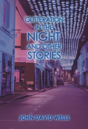 Book cover of Glitteration in the Night and Other Stories