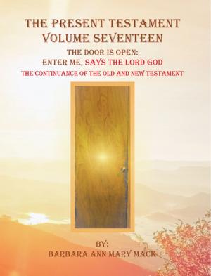 Book cover of The Present Testament Volume Seventeen