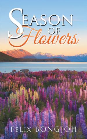 Cover of the book Season of Flowers by Lashunda Smith.