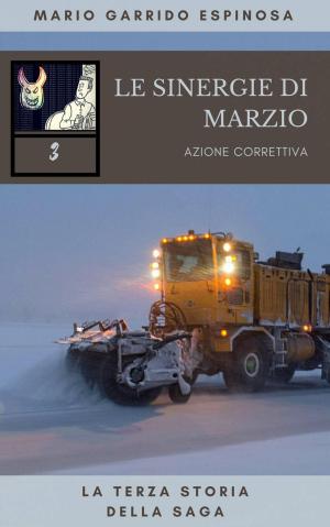 Cover of the book Le sinergie di Marzio by Oghan Crann Criath