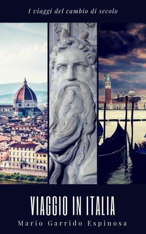 Cover of the book Viaggio in Italia by Kristen Middleton