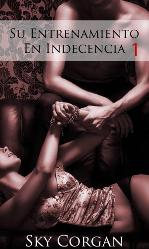 Cover of the book Su Entrenamiento En Indecencia by Amy Briggs